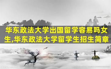 华东政法大学出国留学容易吗女生,华东政法大学留学生招生简章