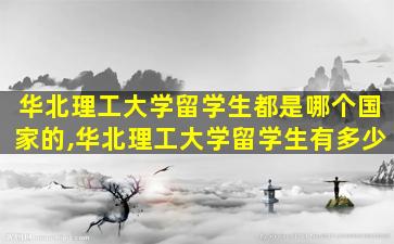 华北理工大学留学生都是哪个国家的,华北理工大学留学生有多少