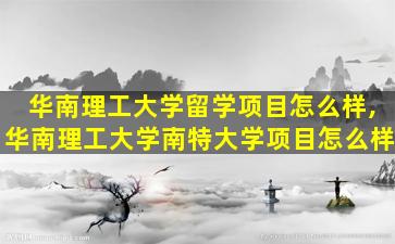 华南理工大学留学项目怎么样,华南理工大学南特大学项目怎么样