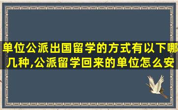 单位公派出国留学的方式有以下哪几种,公派留学回来的单位怎么安排的