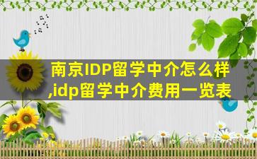 南京IDP留学中介怎么样,idp留学中介费用一览表