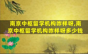 南京中枢留学机构咋样呀,南京中枢留学机构咋样呀多少钱