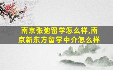 南京张弛留学怎么样,南京新东方留学中介怎么样