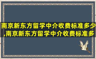 南京新东方留学中介收费标准多少,南京新东方留学中介收费标准多少钱一个月