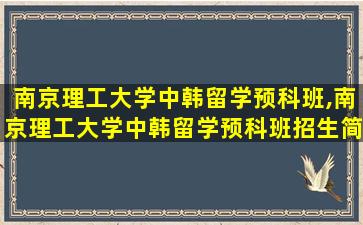 南京理工大学中韩留学预科班,南京理工大学中韩留学预科班招生简章