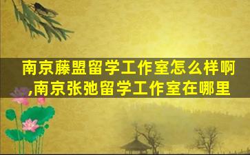 南京藤盟留学工作室怎么样啊,南京张弛留学工作室在哪里