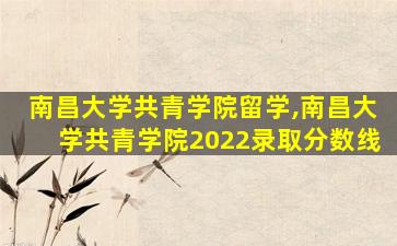 南昌大学共青学院留学,南昌大学共青学院2022录取分数线