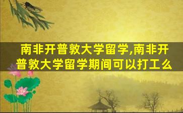 南非开普敦大学留学,南非开普敦大学留学期间可以打工么