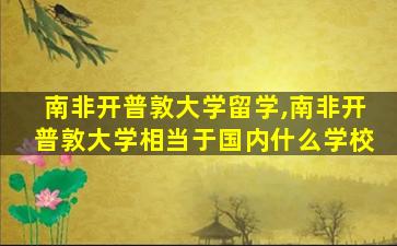 南非开普敦大学留学,南非开普敦大学相当于国内什么学校