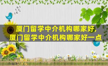 厦门留学中介机构哪家好,厦门留学中介机构哪家好一点