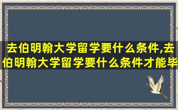 去伯明翰大学留学要什么条件,去伯明翰大学留学要什么条件才能毕业