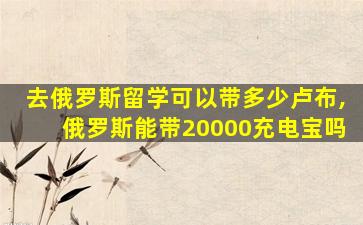 去俄罗斯留学可以带多少卢布,俄罗斯能带20000充电宝吗