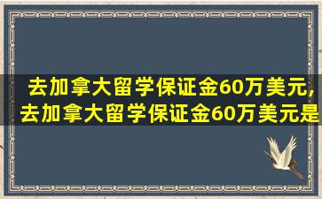 去加拿大留学保证金60万美元,去加拿大留学保证金60万美元是真的吗