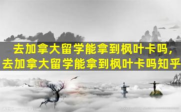 去加拿大留学能拿到枫叶卡吗,去加拿大留学能拿到枫叶卡吗知乎