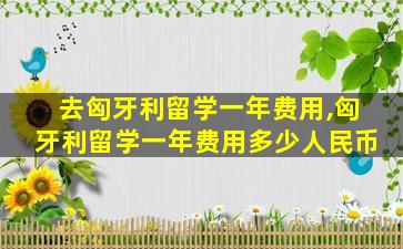 去匈牙利留学一年费用,匈牙利留学一年费用多少人民币