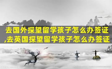 去国外探望留学孩子怎么办签证,去英国探望留学孩子怎么办签证