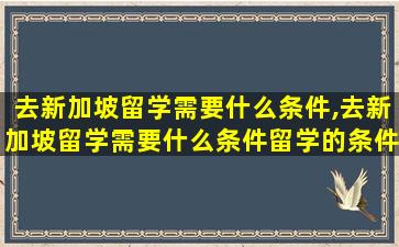 去新加坡留学需要什么条件,去新加坡留学需要什么条件留学的条件