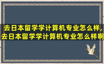 去日本留学学计算机专业怎么样,去日本留学学计算机专业怎么样啊