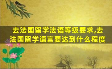 去法国留学法语等级要求,去法国留学语言要达到什么程度