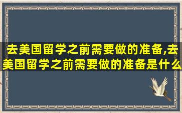 去美国留学之前需要做的准备,去美国留学之前需要做的准备是什么