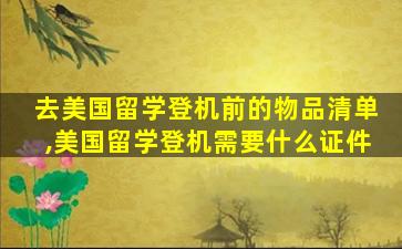 去美国留学登机前的物品清单,美国留学登机需要什么证件