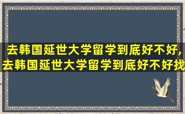 去韩国延世大学留学到底好不好,去韩国延世大学留学到底好不好找工作