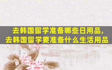 去韩国留学准备哪些日用品,去韩国留学要准备什么生活用品