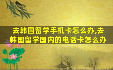 去韩国留学手机卡怎么办,去韩国留学国内的电话卡怎么办