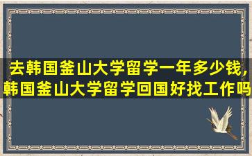 去韩国釜山大学留学一年多少钱,韩国釜山大学留学回国好找工作吗