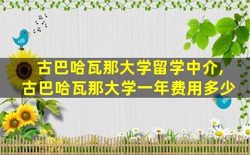 古巴哈瓦那大学留学中介,古巴哈瓦那大学一年费用多少