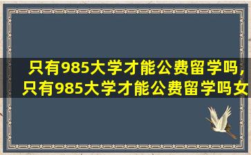 只有985大学才能公费留学吗,只有985大学才能公费留学吗女生