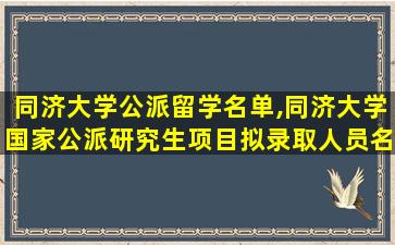 同济大学公派留学名单,同济大学国家公派研究生项目拟录取人员名单