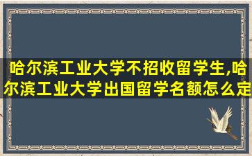 哈尔滨工业大学不招收留学生,哈尔滨工业大学出国留学名额怎么定