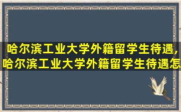 哈尔滨工业大学外籍留学生待遇,哈尔滨工业大学外籍留学生待遇怎么样