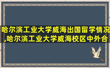 哈尔滨工业大学威海出国留学情况,哈尔滨工业大学威海校区中外合作办学学费