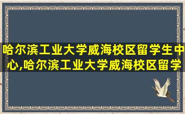 哈尔滨工业大学威海校区留学生中心,哈尔滨工业大学威海校区留学生中心俄罗斯留学