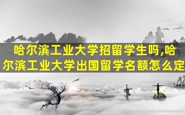 哈尔滨工业大学招留学生吗,哈尔滨工业大学出国留学名额怎么定