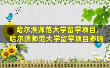 哈尔滨师范大学留学项目,哈尔滨师范大学留学项目多吗