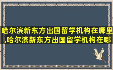 哈尔滨新东方出国留学机构在哪里,哈尔滨新东方出国留学机构在哪里啊