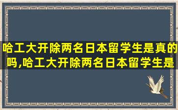 哈工大开除两名日本留学生是真的吗,哈工大开除两名日本留学生是真的吗知乎