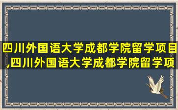 四川外国语大学成都学院留学项目,四川外国语大学成都学院留学项目需要中英对照毕业书吗