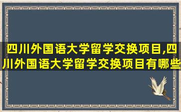 四川外国语大学留学交换项目,四川外国语大学留学交换项目有哪些