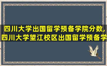 四川大学出国留学预备学院分数,四川大学望江校区出国留学预备学院