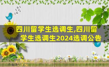 四川留学生选调生,四川留学生选调生2024选调公告