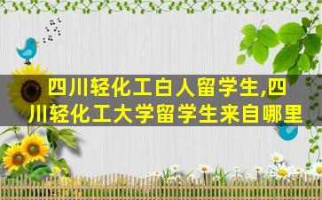 四川轻化工白人留学生,四川轻化工大学留学生来自哪里