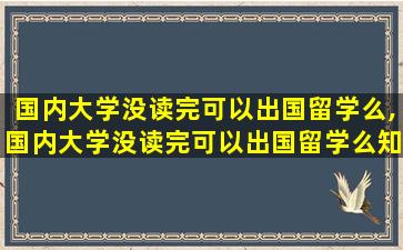 国内大学没读完可以出国留学么,国内大学没读完可以出国留学么知乎