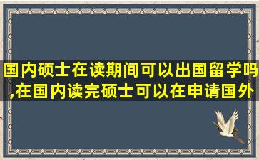 国内硕士在读期间可以出国留学吗,在国内读完硕士可以在申请国外的硕士学位吗