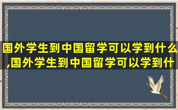 国外学生到中国留学可以学到什么,国外学生到中国留学可以学到什么东西