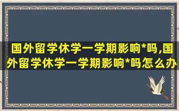 国外留学休学一学期影响*
吗,国外留学休学一学期影响*
吗怎么办