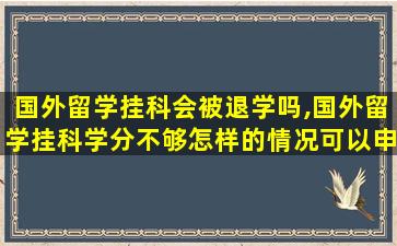 国外留学挂科会被退学吗,国外留学挂科学分不够怎样的情况可以申诉成功